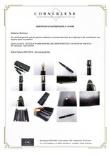 Stylo montblanc masterstuck d'occasion  Grenoble-