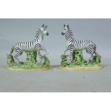 staffordshire zebra for sale staffordshire zebra for sale SPALDING