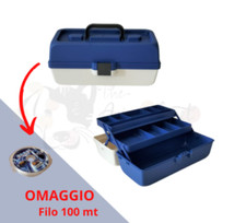 Valigetta valigia cassetta usato  Tortorella