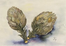 Artischocken riginal aquarell gebraucht kaufen  Deutschland