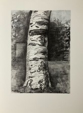 Henry moore usato  Visciano