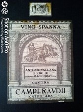 Spanna 1964 cantina usato  Roma