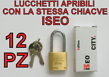 Lucchetti iseo apribili usato  Cesenatico