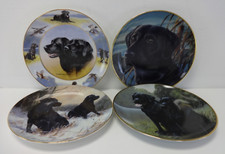 Black labrador dog for sale  HODDESDON