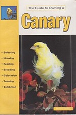 Guide owning canary for sale  UK