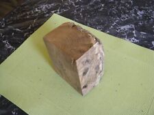 Bois sumac vinaigrier d'occasion  Guilers
