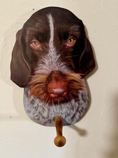 German wirehaired pointer for sale  Waterford