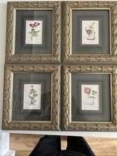 Set botanical prints for sale  YORK