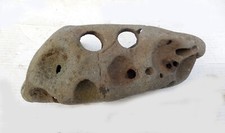 Large natural holey for sale  Selma