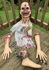 Spirit halloween life for sale  Chippewa Falls