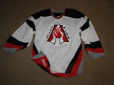 Atlanta fire bergert for sale  Lawrenceville