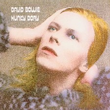 David bowie hunky for sale  UK