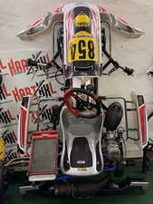 Rennkart kart iame gebraucht kaufen  Stuttgart