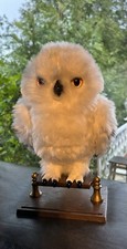 Harry potter interaktive gebraucht kaufen  Reichenbach/O.L.