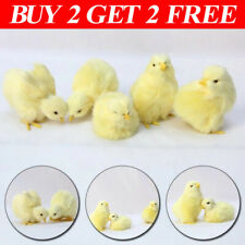 Lovely plush chick for sale  UK