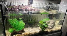 Aquarium komplettset deko gebraucht kaufen  Kalefeld