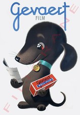 Gevaert pub d'occasion Gevaert pub d'occasion  Charleville-Mézières