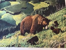 Vintage 1950 brown for sale  Lake Placid