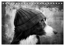 Hütehunde calvendo monatskale gebraucht kaufen  Osnabrück