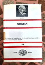 Omero odissea rosa usato  Garlasco