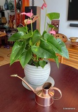 Vintage haws elliott for sale  HORLEY
