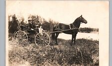 Dog horse drawn for sale  Davenport