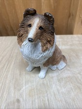 Sandicast shetland sheepdog for sale  Lake Butler