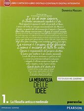 Meraviglia delle idee usato  Sesto San Giovanni