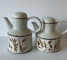 Stonehenge midwinter wild for sale  EDINBURGH