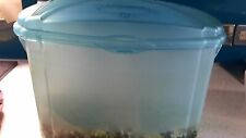Plastic blue fish for sale  BIRMINGHAM