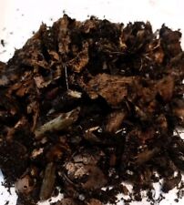 Insect food substrate for sale  SHEFFIELD