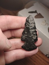 Rare petrified wood for sale  Saint Paul