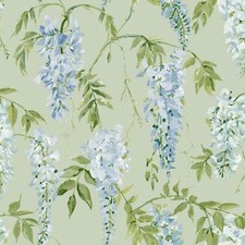 élégant glycine peint d'occasion  Expédié en France