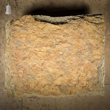 Garden stone slab for sale  NORWICH