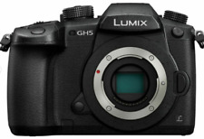 Panasonic lumix gh5e usato  Spedire a Italy
