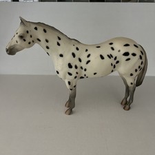 Family appaloosa mare for sale  Carlsbad