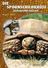 Die spornschildkröte geochelo d'occasion  Expédié en France