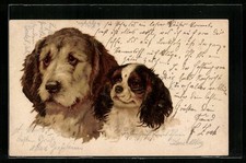Ansichtskarte portrait jagdhun gebraucht kaufen  Berlin