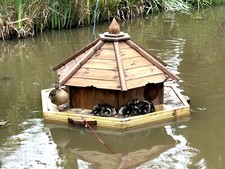 Medium hexagonal floating for sale  WHITCHURCH