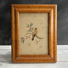 19th century bird for sale  DURSLEY
