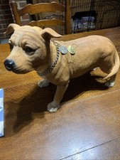 Large staffordshire bull for sale  MARLOW