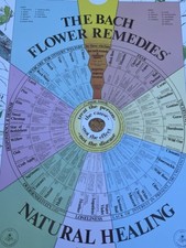 bach flower for sale bach flower for sale WINCHESTER