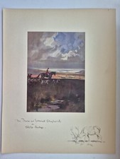 Antique coloured fox for sale  SHANKLIN