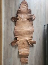 Peau crocodile naturel d'occasion  Trans-en-Provence