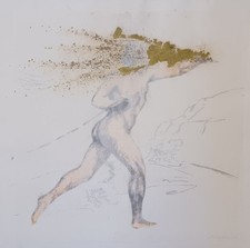 Omar galliani cavaliere usato  Riccione