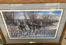 Michael sieve oak for sale  Shrewsbury