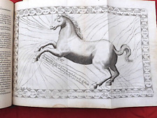 Cheval equitation parfait d'occasion  Paris V
