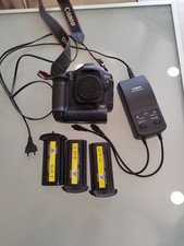 Canon eos mark usato  Spedire a Italy