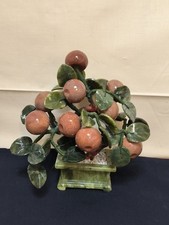 Bonsai bäumchen früchten gebraucht kaufen  Berlin