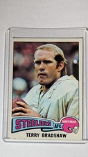 1975 topps terry for sale  Cartersville